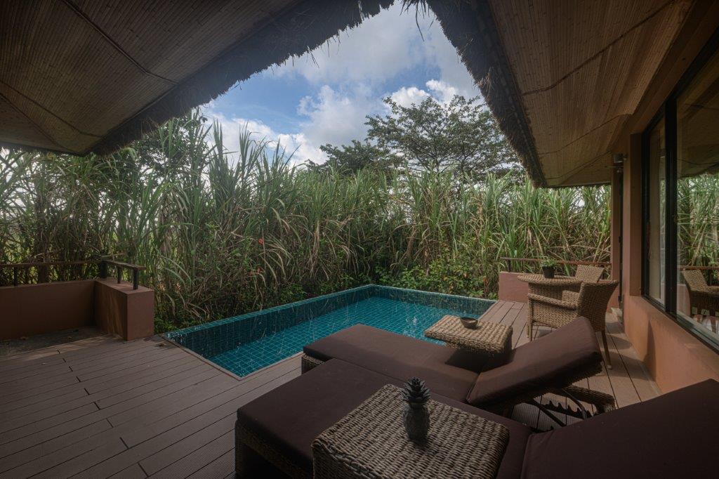 Superior Deluxe Villas With Plunge Pool