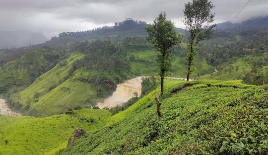 Luxurious Sri Lanka