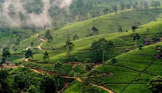 Luxurious Sri Lanka