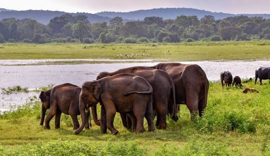 Luxurious Sri Lanka