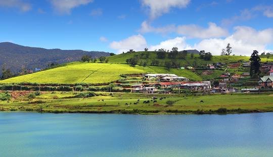 Nuwara Eliya