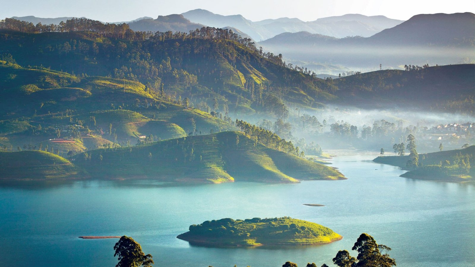 Misty tea-covered hills surrounding Castlereagh Reservoir near Hatton, Sri Lanka.