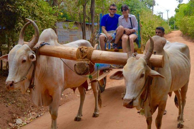 Tourists enjoying a bullock cart ride in Hiriwaduna, Sri Lanka.