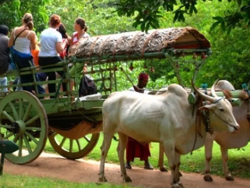Hiriwaduna Village Tour