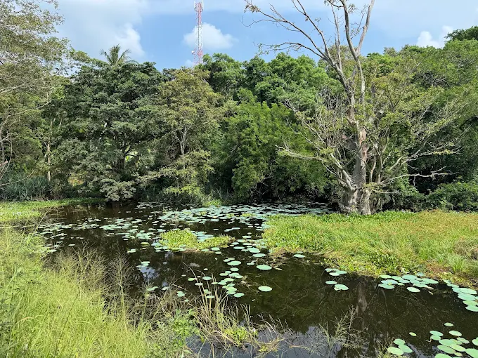 Hiriwaduna Village Experience