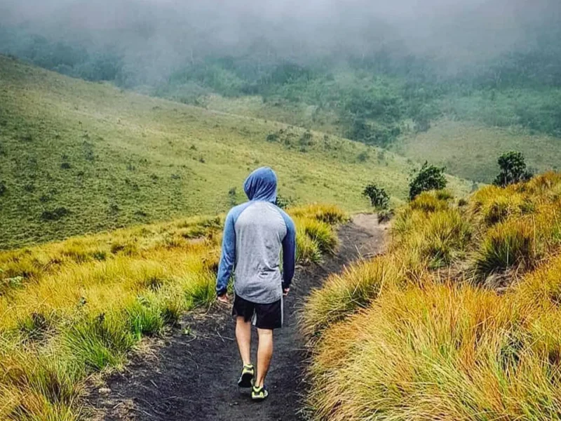 Horton Plains Private Excursion