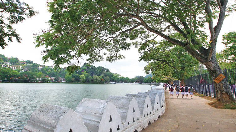 Scenic walkway beside Kandy Lake surrounded by trees.