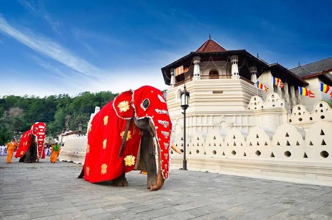 Ceremonial elephant in traditional attire near the Temple of the Sacred Tooth Relic in Kandy.