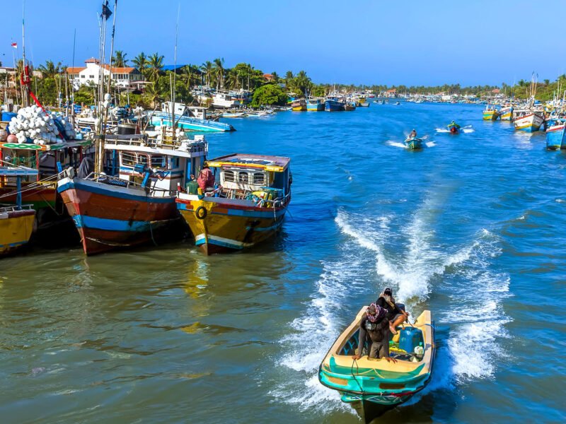 Colourful fishing boats along the busy Negombo Lagoon in Sri Lanka.