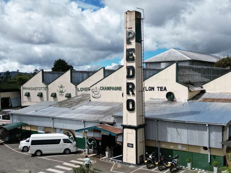 Pedro Tea Factory