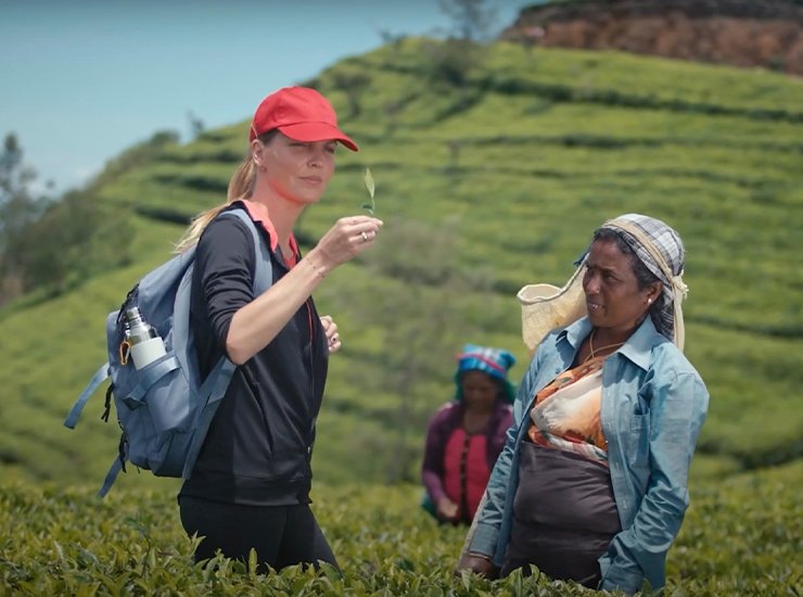 Tea Fields Tour