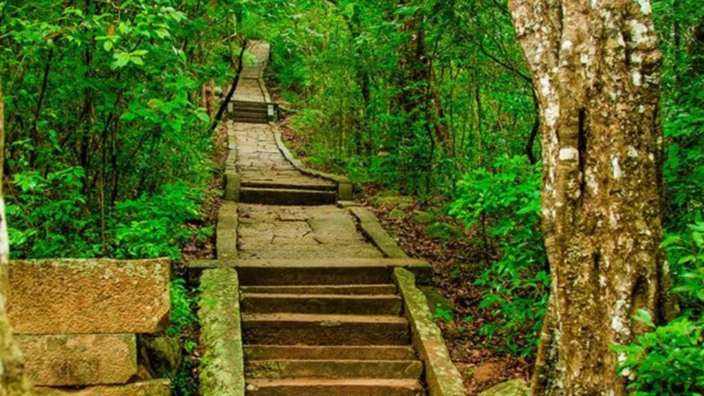 Ancient stone pathway and steps winding through the dense forest at Ritigala.