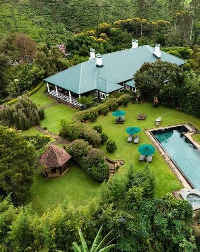 Aerial view of Ceylon Tea Trails in Sri Lanka