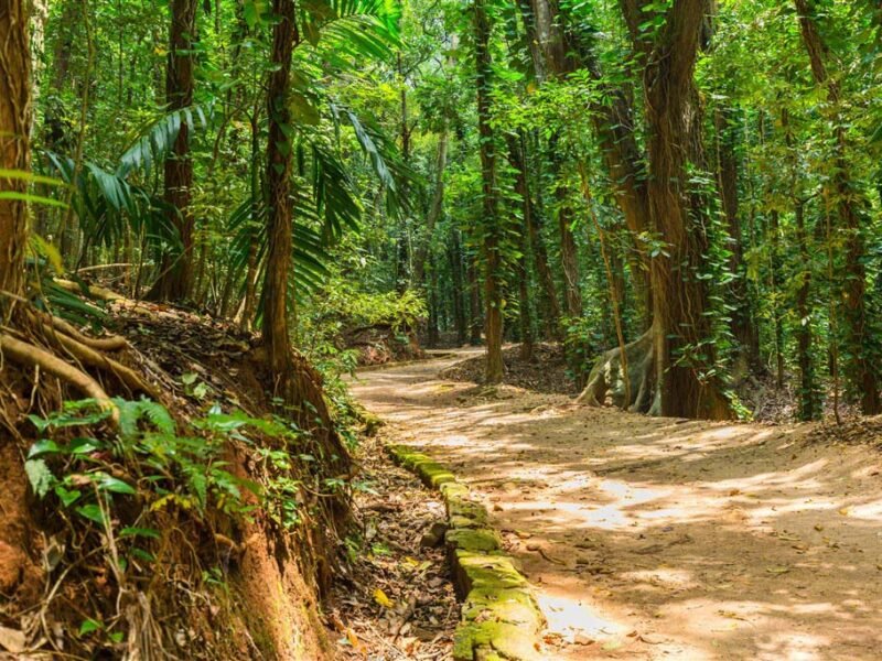 Udawattakele Forest Walk