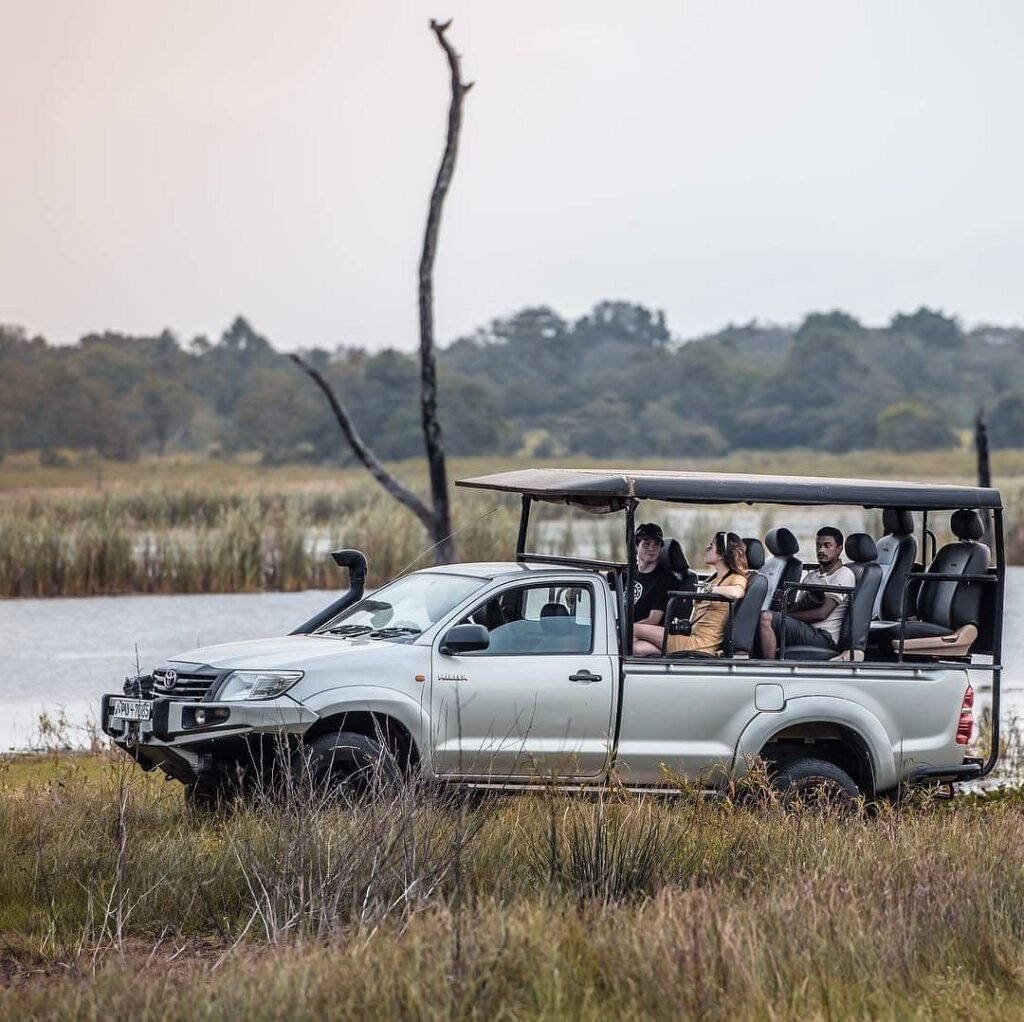 Tourists enjoying a jeep safari beside a wetland in Yala National Park.