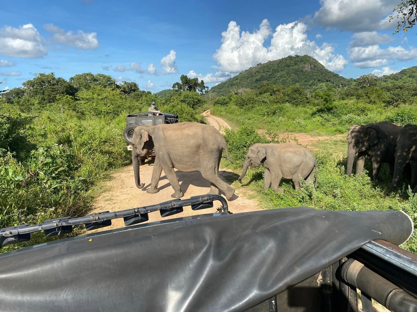 Safari Adventure in Sri Lanka with Luxurious Lanka