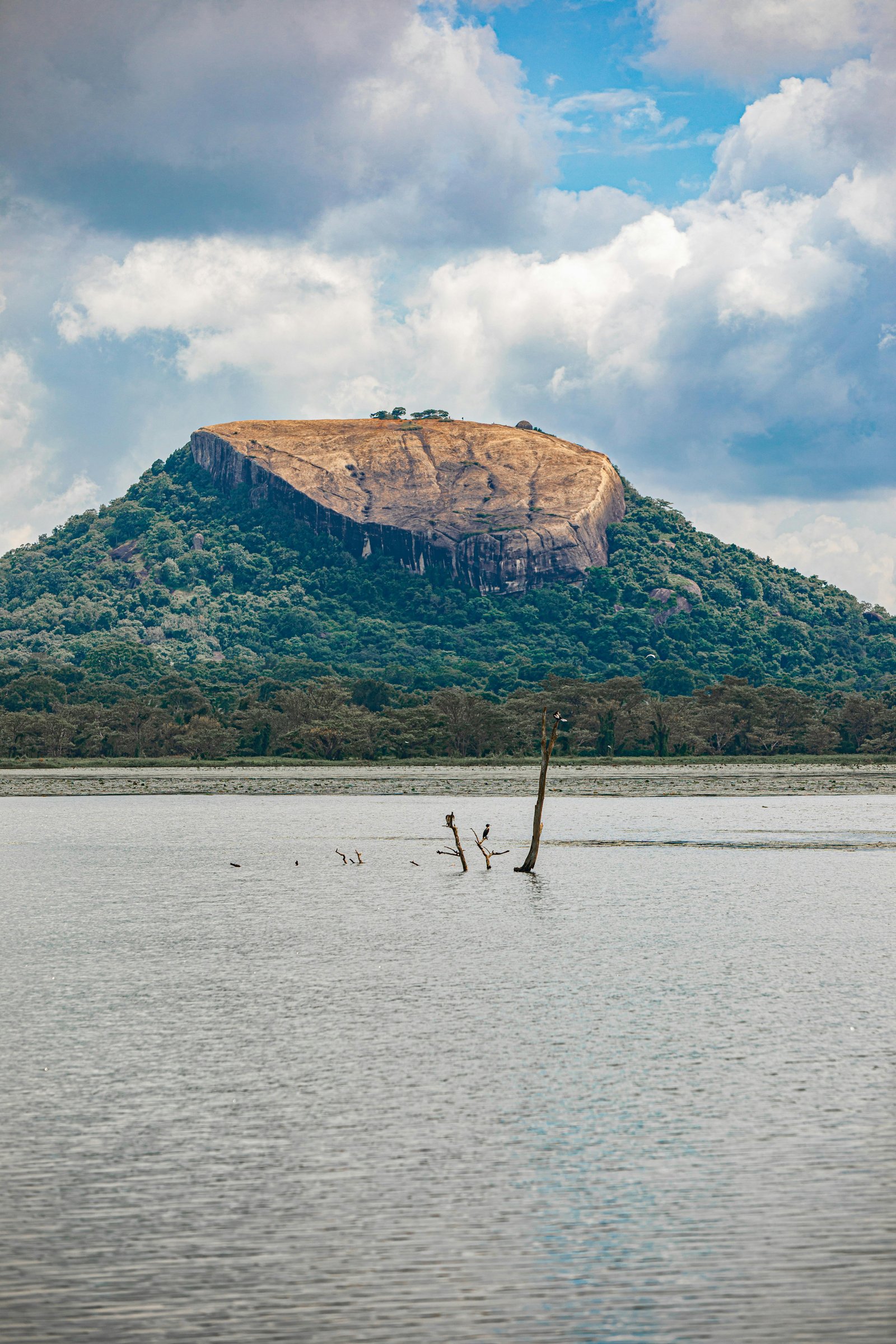 Pidurangala Rock