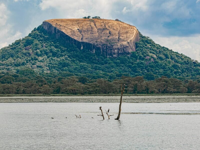 Pidurangala Rock