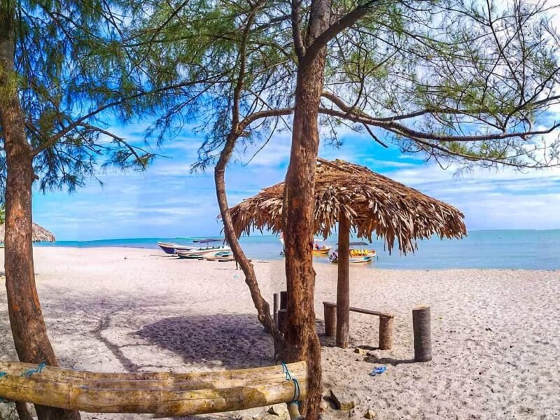 Casuarina Beach Experience