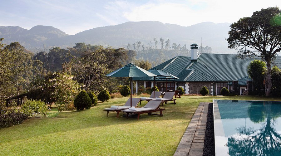 Swimming pool and sun loungers overlooking the mountains at Ceylon Tea Trails.