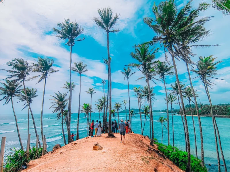 Coconut Tree Hill