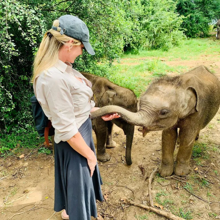 Visitor interacting with rescued baby elephants near Udawalawe.
