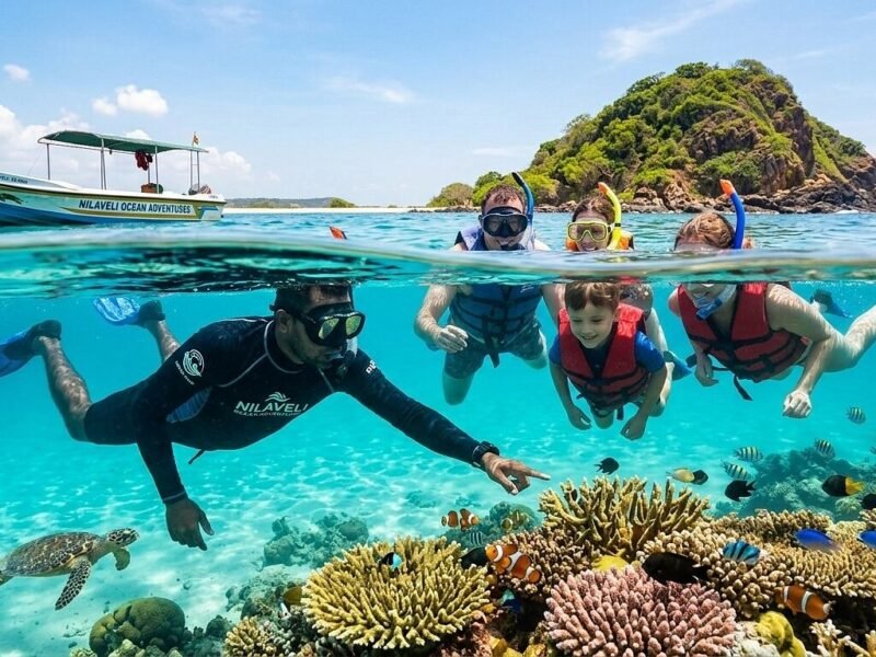Pigeon Island Snorkelling