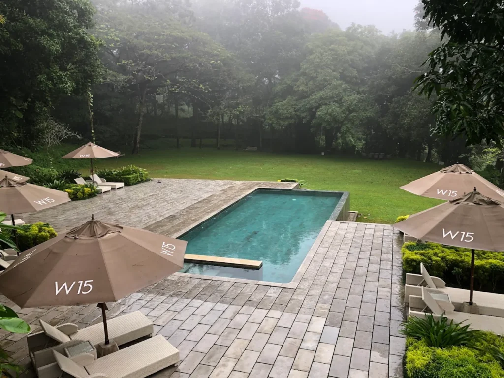 Swimming pool surrounded by misty forest at W15 Hanthana.