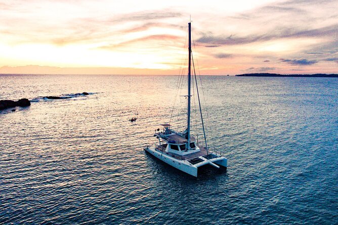 Whale-Watching Yacht Experience