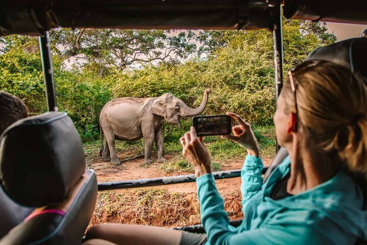 Tourist photographing a wild elephant from a safari jeep in Yala National Park.