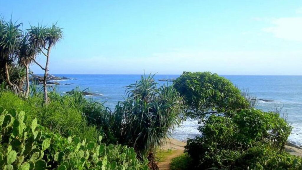 Turtle Bay Hotel surrounded by tropical gardens in Sri Lanka