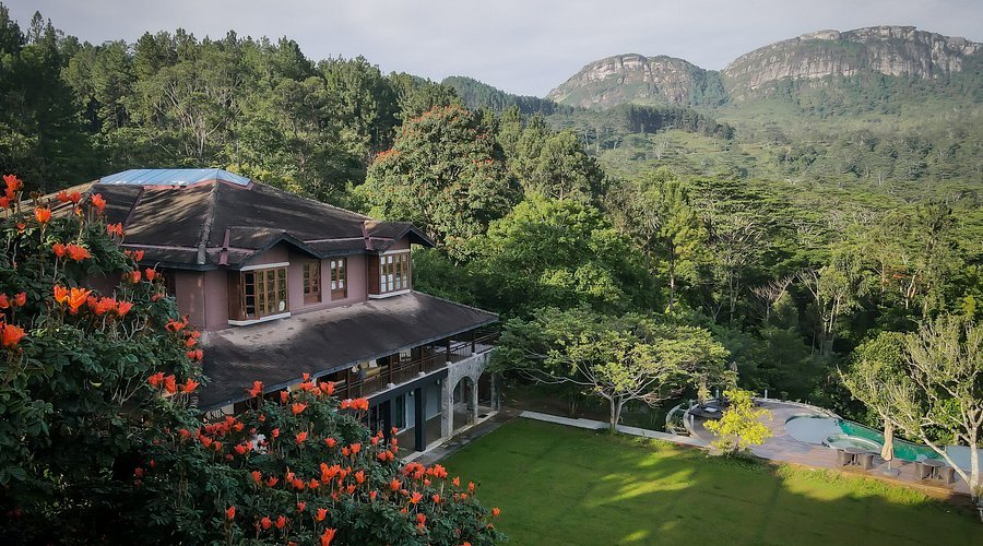 Dendrobium House surrounded by lush greenery and mountain views in Sri Lanka