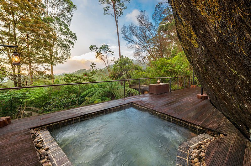 Private plunge pool surrounded by forest at The Cavern Sri Lanka
